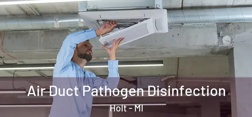 Air Duct Pathogen Disinfection Holt - MI