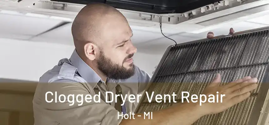  Clogged Dryer Vent Repair Holt - MI