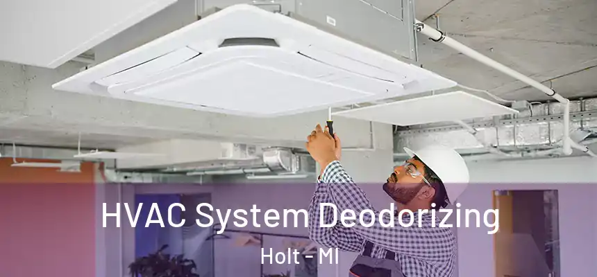  HVAC System Deodorizing Holt - MI