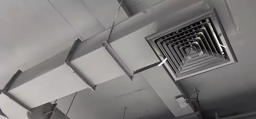 Restorative Allergy Relief Vent Cleaning – Coil, Blower & Housing Detail in Holt