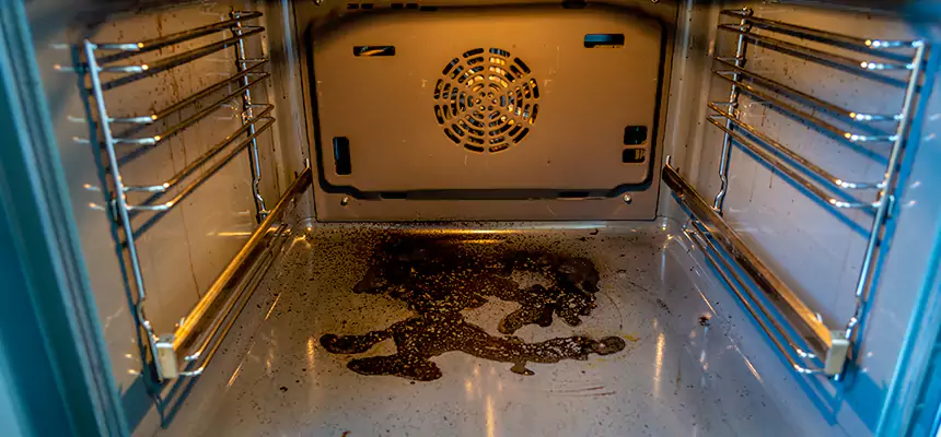 Our Dryer Vent Mold Cleaning Services in Holt, MI