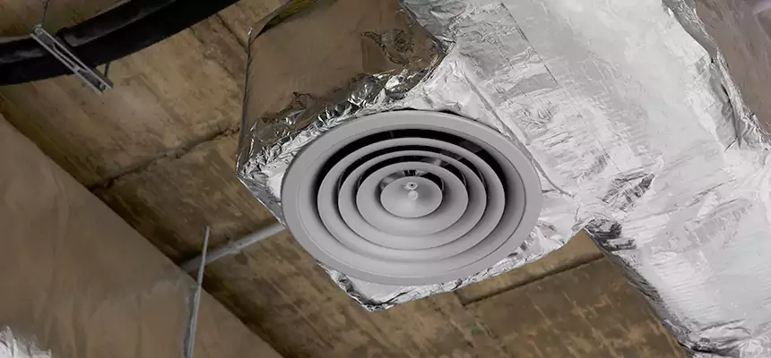 Our Excess Lint Removal from Dryer Ducts Services in Holt, MI