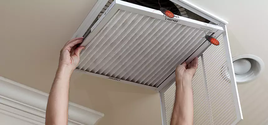 Our Insect Removal from Air Ducts Services in Holt, MI