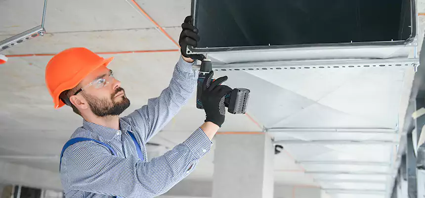 Roof Cap & Exterior Hood Lint Buildup Removal – Holt