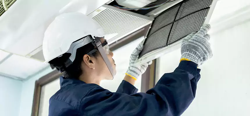 Our Mold & Mildew Removal from Air Ducts Services in Holt, MI