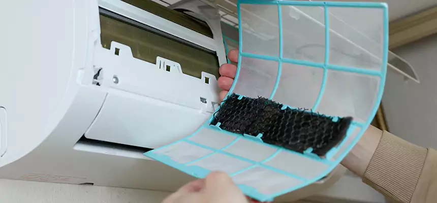 Gentle Ductwork Odor-Control Pet Dander Duct Cleaning in Holt, MI