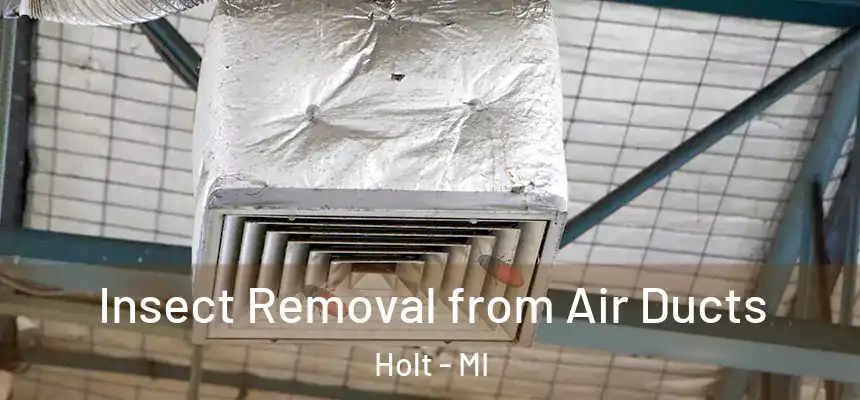 Insect Removal from Air Ducts Holt - MI