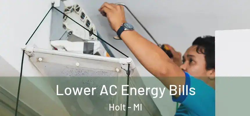  Lower AC Energy Bills Holt - MI