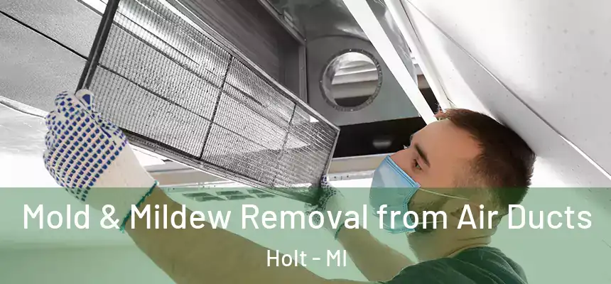 Mold & Mildew Removal from Air Ducts Holt - MI