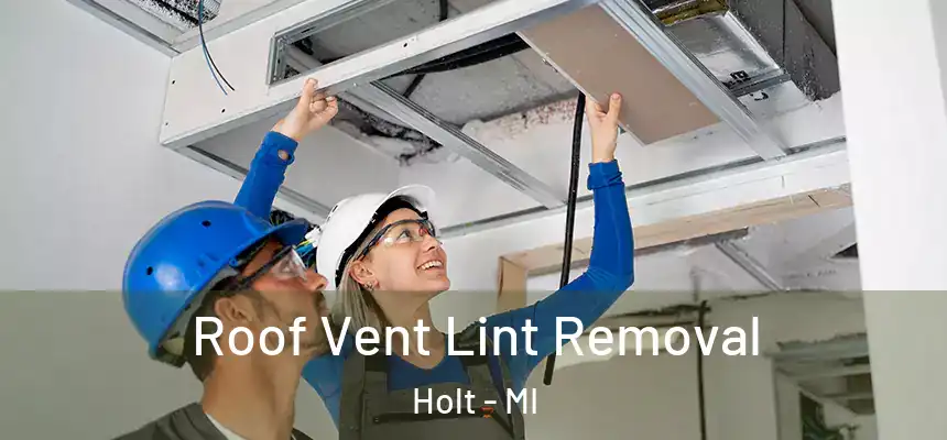 Roof Vent Lint Removal Holt - MI