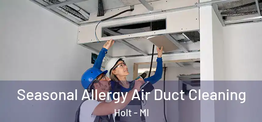  Seasonal Allergy Air Duct Cleaning Holt - MI