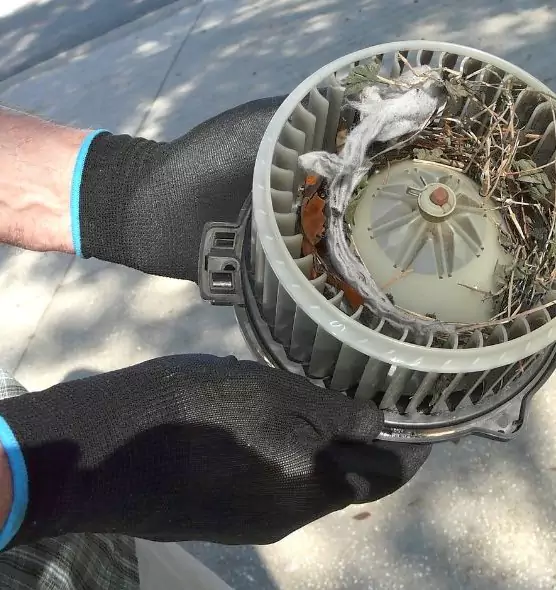 About Air Duct Mice Removal in Holt, MI