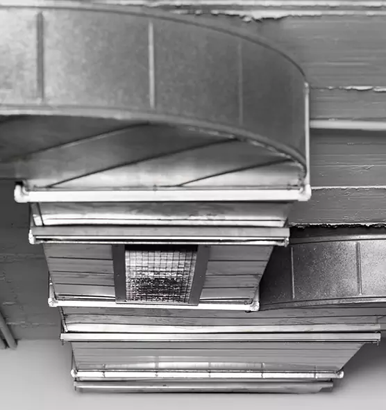 Professional Air Duct Pest Removal in Holt, MI