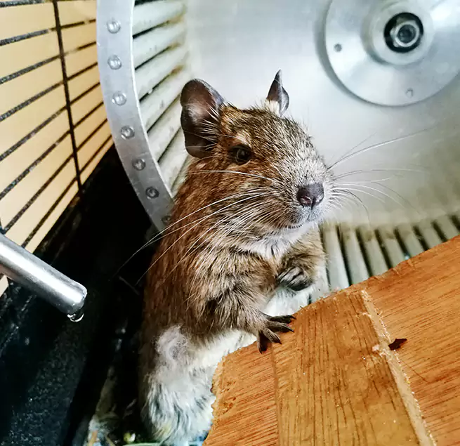 Why Homeowners & Businesses Trust Us Holt, MI?