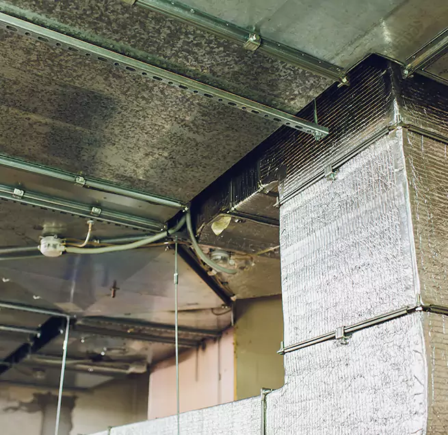 Why Homeowners & Businesses Trust Us in Holt, MI?