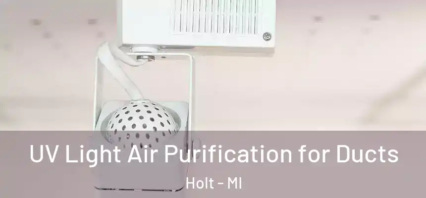 UV Light Air Purification for Ducts Holt - MI
