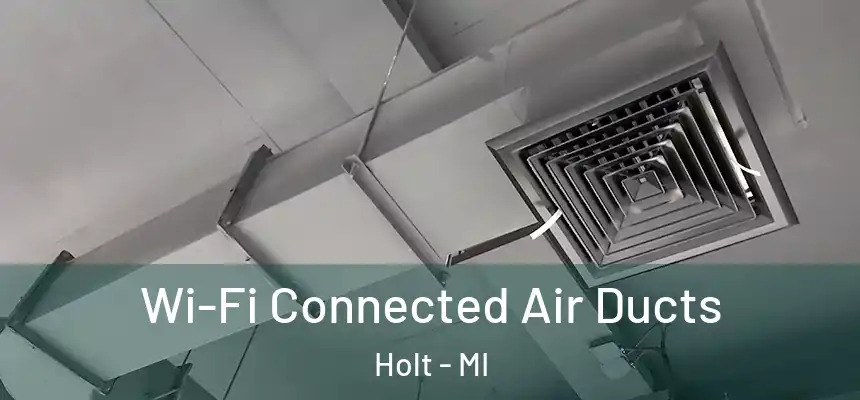 Wi-Fi Connected Air Ducts Holt - MI